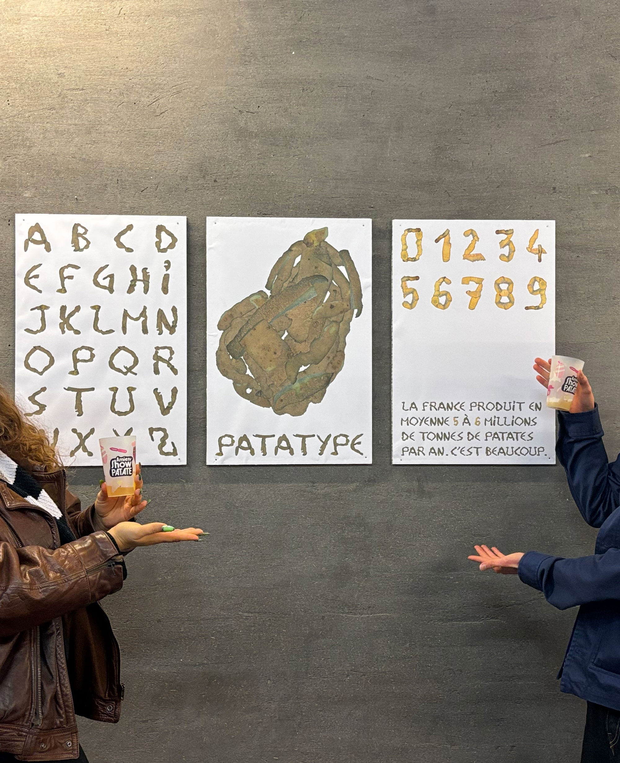 Patatype exposé à l'office de tourisme d'Amiens