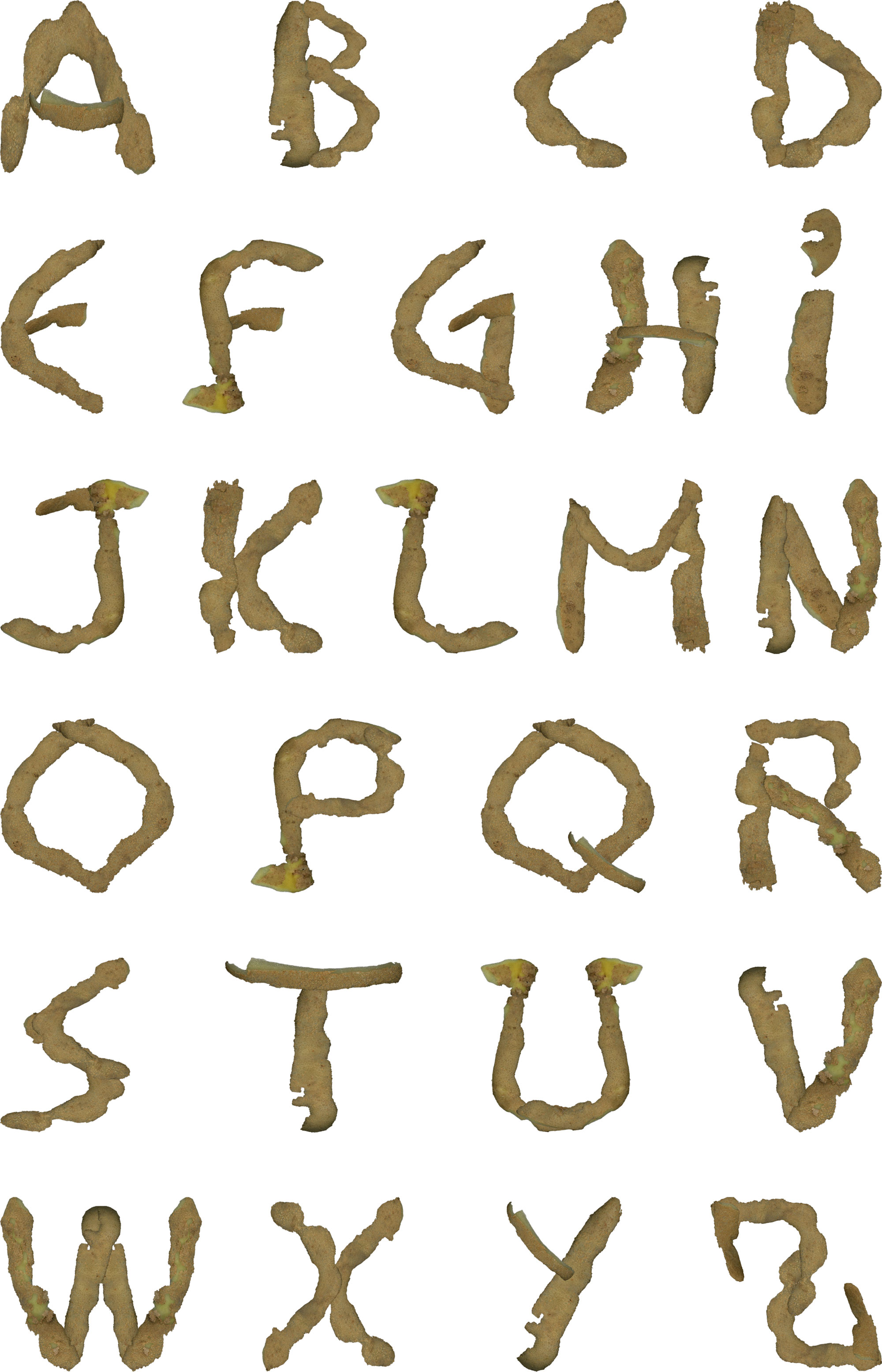 redirection vers la page de projet typographique patatype