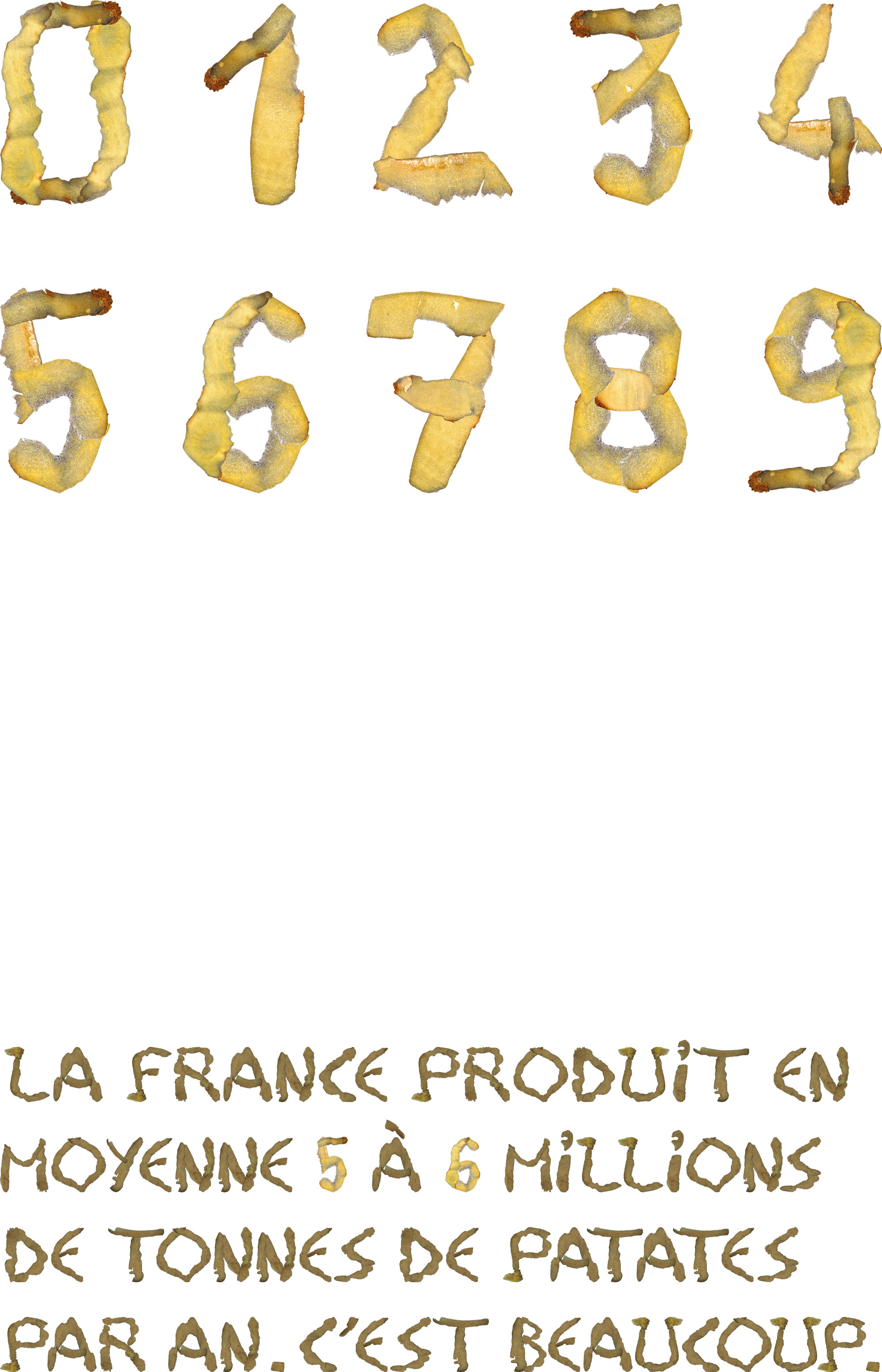 specimen des chiffres du patatype