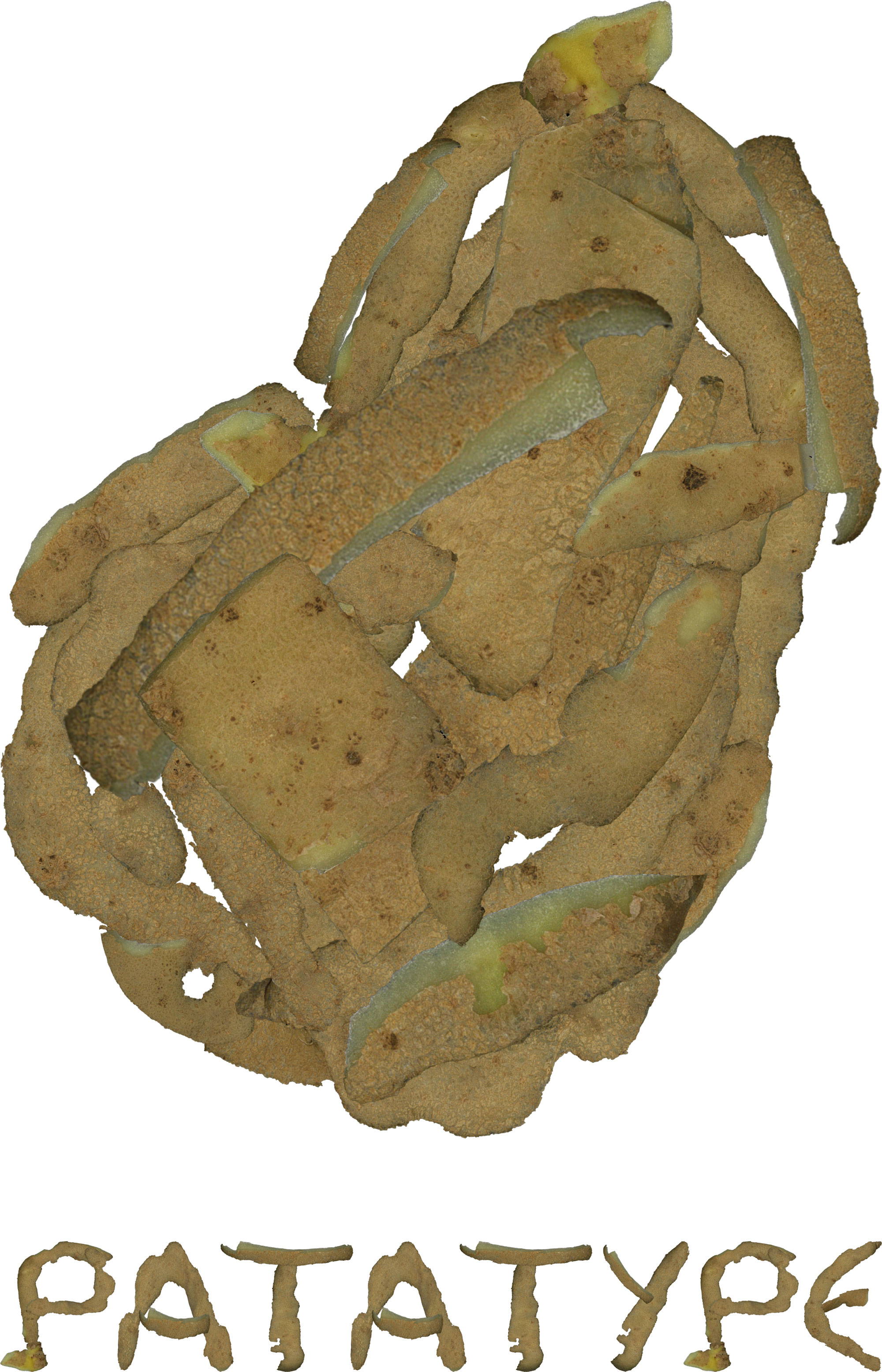 patate reconstituée